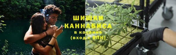 эйфоретик Верхний Тагил