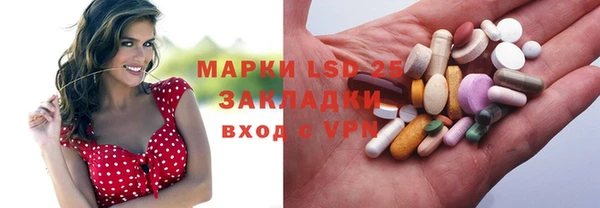 сатива Бугульма