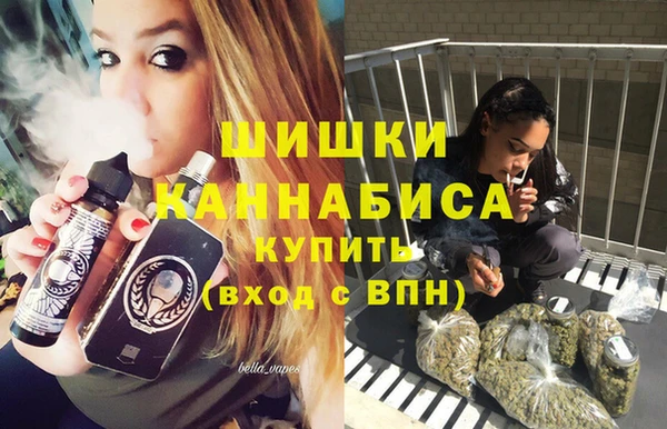 сатива Бугульма