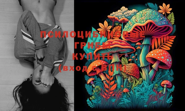 мяу мяу кристалл Бородино
